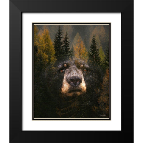 Through The Trees Black Modern Wood Framed Art Print with Double Matting by Brown, Denise