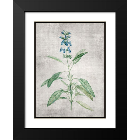 Blue Botanical 1 Black Modern Wood Framed Art Print with Double Matting by Brown, Denise
