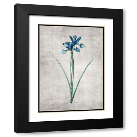 Blue Botanical 2 Black Modern Wood Framed Art Print with Double Matting by Brown, Denise