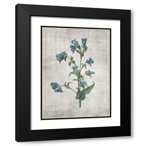 Blue Botanical 4 Black Modern Wood Framed Art Print with Double Matting by Brown, Denise