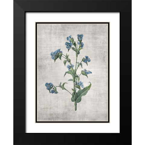 Blue Botanical 4 Black Modern Wood Framed Art Print with Double Matting by Brown, Denise