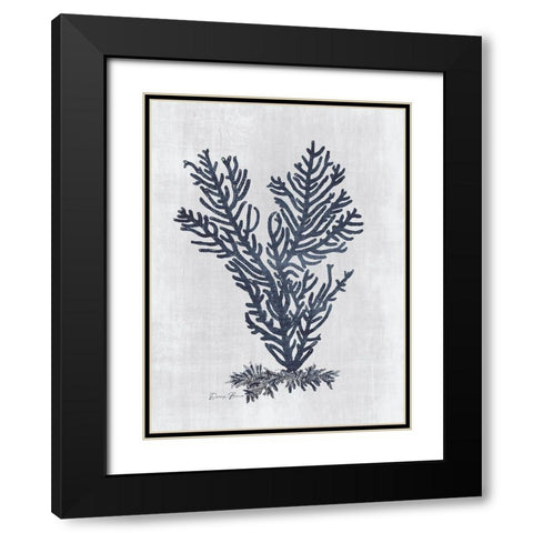 Sea Fan 2 v2 Black Modern Wood Framed Art Print with Double Matting by Brown, Denise