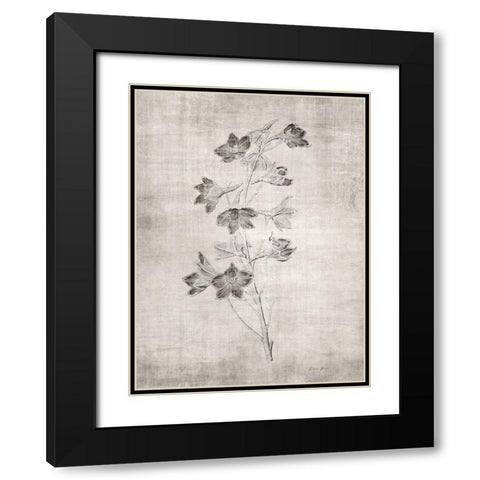 Sepia Botanical 3 Black Modern Wood Framed Art Print with Double Matting by Brown, Denise