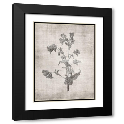 Sepia Botanical 4 Black Modern Wood Framed Art Print with Double Matting by Brown, Denise