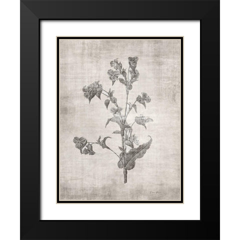 Sepia Botanical 4 Black Modern Wood Framed Art Print with Double Matting by Brown, Denise