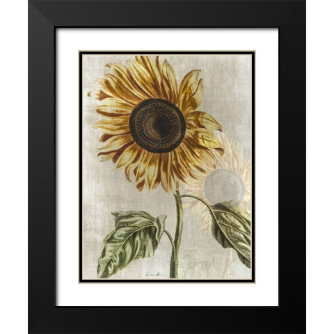 Sunflower 1 Black Modern Wood Framed Art Print with Double Matting by Brown, Denise