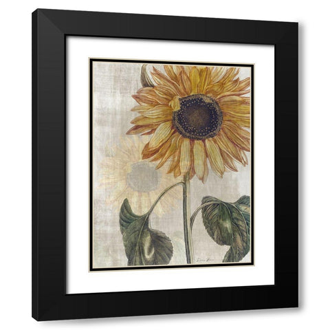 Sunflower 2 Black Modern Wood Framed Art Print with Double Matting by Brown, Denise