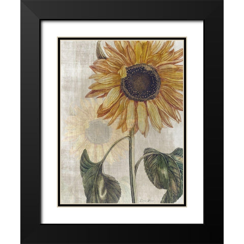 Sunflower 2 Black Modern Wood Framed Art Print with Double Matting by Brown, Denise