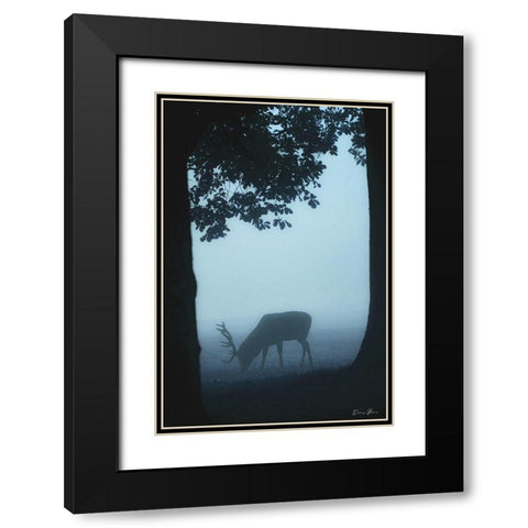 Grazing Black Modern Wood Framed Art Print with Double Matting by Brown, Denise