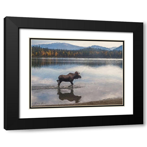 Moose Black Modern Wood Framed Art Print with Double Matting by Brown, Denise