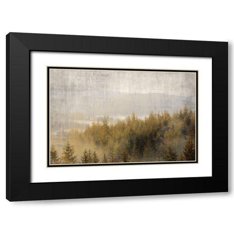 Pine Tops Black Modern Wood Framed Art Print with Double Matting by Brown, Denise