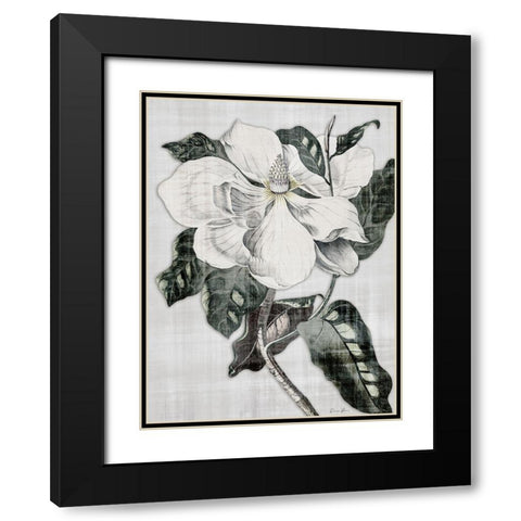 Southern Magnolia 1 Black Modern Wood Framed Art Print with Double Matting by Brown, Denise