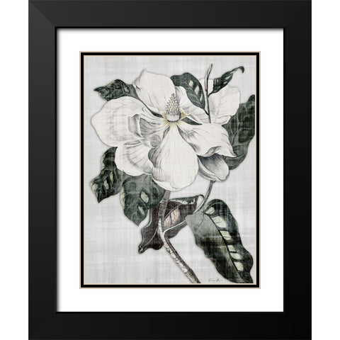 Southern Magnolia 1 Black Modern Wood Framed Art Print with Double Matting by Brown, Denise