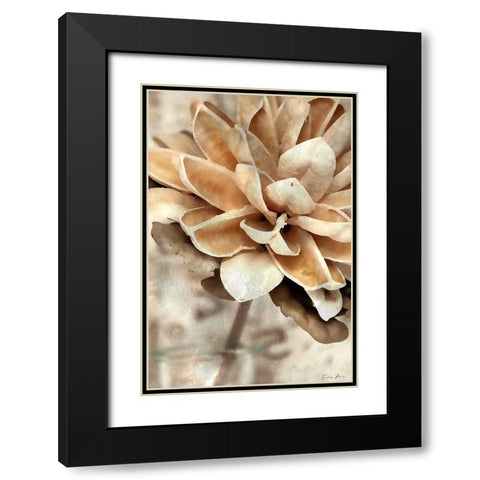 Magnolia 1 Black Modern Wood Framed Art Print with Double Matting by Brown, Denise