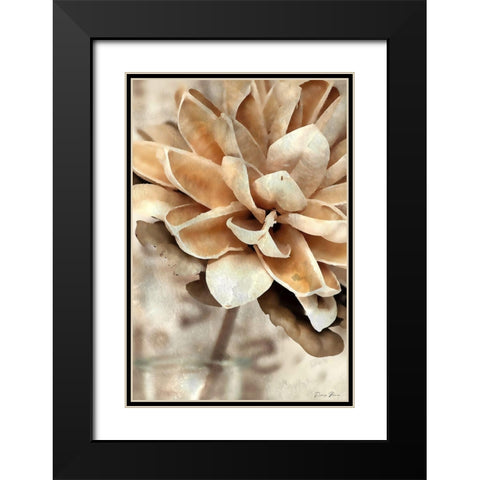 Magnolia 1 Black Modern Wood Framed Art Print with Double Matting by Brown, Denise