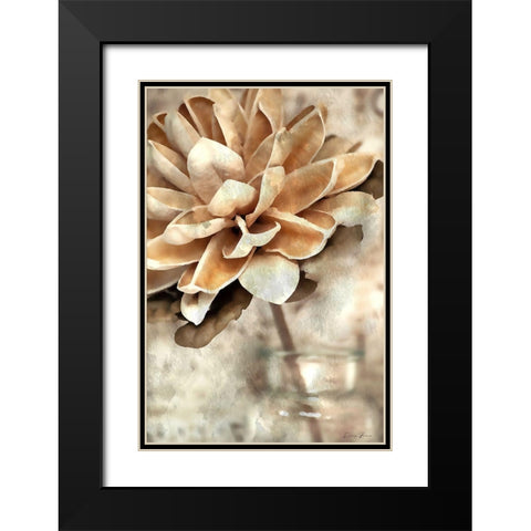 Magnolia 2 Black Modern Wood Framed Art Print with Double Matting by Brown, Denise