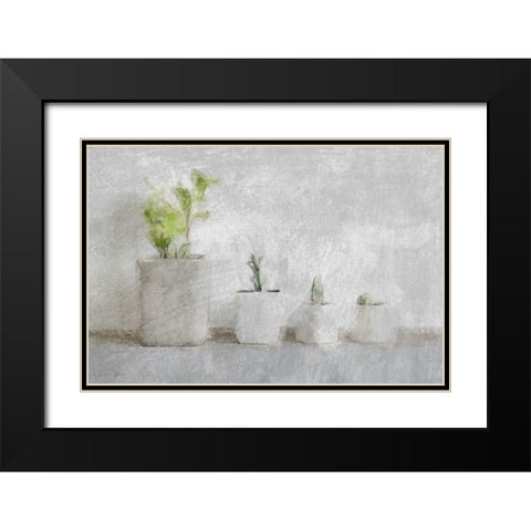 Small Greenery Black Modern Wood Framed Art Print with Double Matting by Brown, Denise