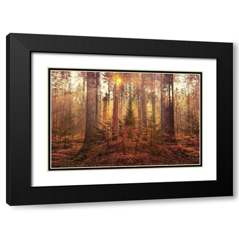Sanctuary Black Modern Wood Framed Art Print with Double Matting by Brown, Denise