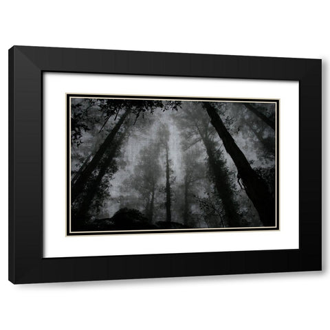 Trees and Clouds 2 Black Modern Wood Framed Art Print with Double Matting by Brown, Denise