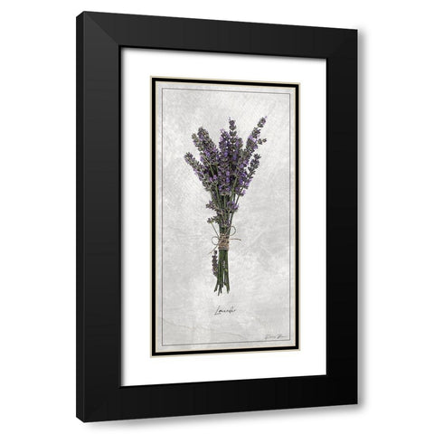 Lavender 1 Black Modern Wood Framed Art Print with Double Matting by Brown, Denise