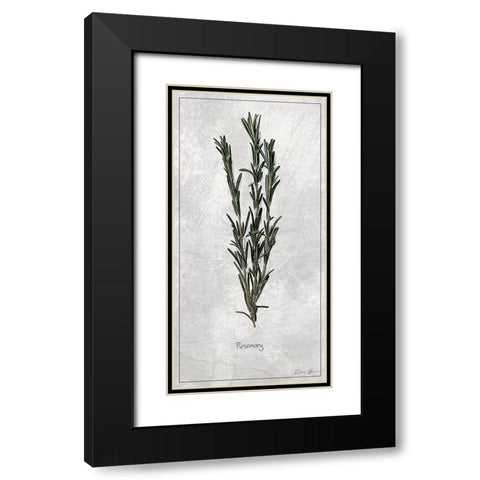 Rosemary 1 Black Modern Wood Framed Art Print with Double Matting by Brown, Denise