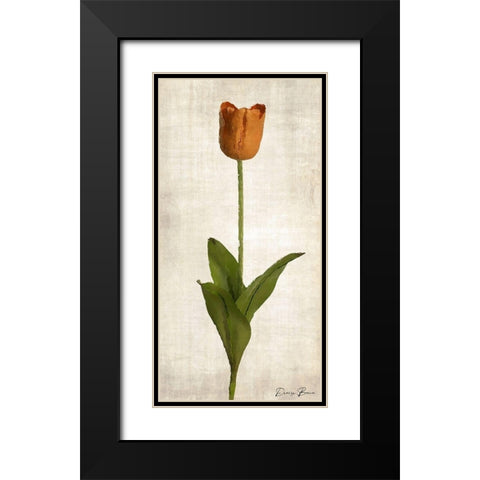 Stem 1 Black Modern Wood Framed Art Print with Double Matting by Brown, Denise