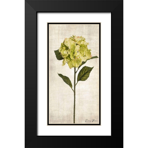 Stem 2 Black Modern Wood Framed Art Print with Double Matting by Brown, Denise