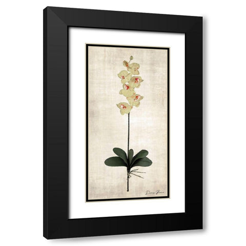 Stem 3 Black Modern Wood Framed Art Print with Double Matting by Brown, Denise