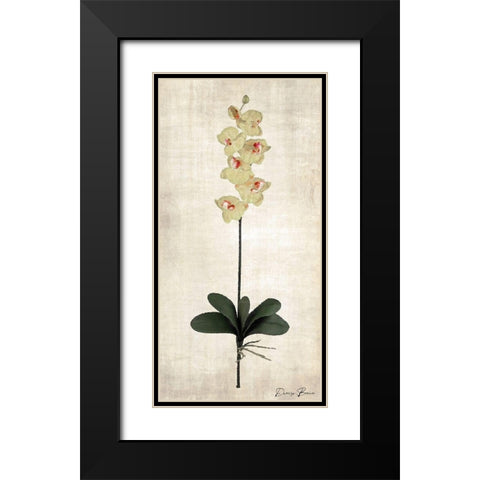 Stem 3 Black Modern Wood Framed Art Print with Double Matting by Brown, Denise