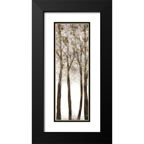 Wooded Grove 1 Black Modern Wood Framed Art Print with Double Matting by Charest, Doris