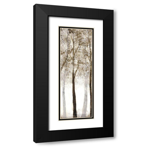 Wooded Grove 3 Black Modern Wood Framed Art Print with Double Matting by Charest, Doris