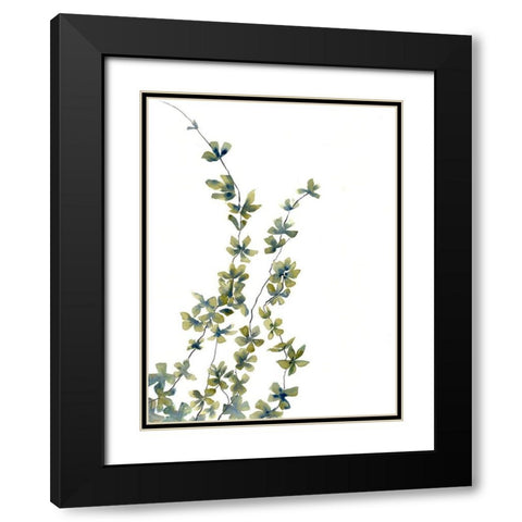 Growing Plants Black Modern Wood Framed Art Print with Double Matting by Charest, Doris