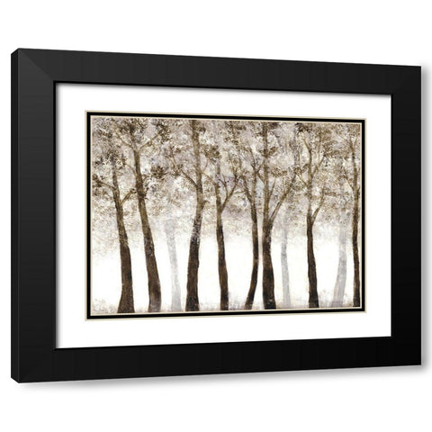 Wooded Grove Black Modern Wood Framed Art Print with Double Matting by Charest, Doris
