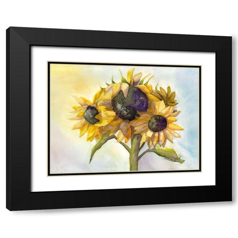 Sunflower Bloom 1 Black Modern Wood Framed Art Print with Double Matting by Charest, Doris
