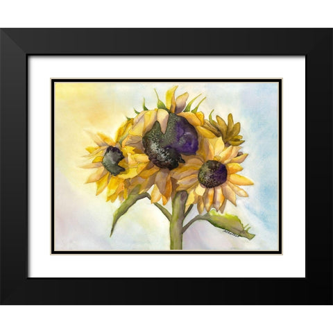 Sunflower Bloom 1 Black Modern Wood Framed Art Print with Double Matting by Charest, Doris