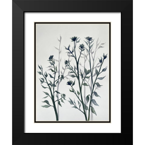 Botanical Inspiration 2 Black Modern Wood Framed Art Print with Double Matting by Charest, Doris
