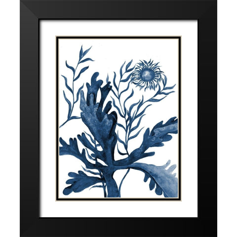 Underwater Life 2 Black Modern Wood Framed Art Print with Double Matting by Charest, Doris