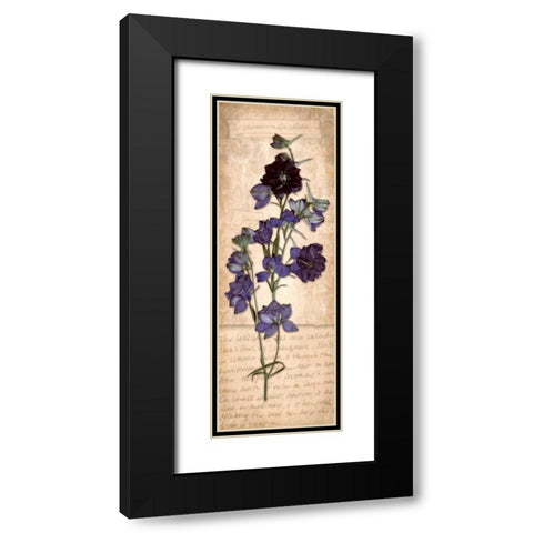 July Larkspur Black Modern Wood Framed Art Print with Double Matting by Stimson, Diane