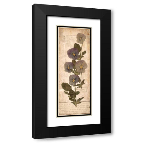 February Violet Black Modern Wood Framed Art Print with Double Matting by Stimson, Diane