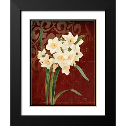 Narcissus 1 Black Modern Wood Framed Art Print with Double Matting by Stimson, Diane