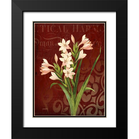 Narcissus 2 Black Modern Wood Framed Art Print with Double Matting by Stimson, Diane