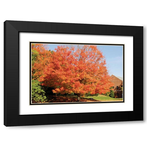 Autumnal 1 Black Modern Wood Framed Art Print with Double Matting by Stimson, Diane