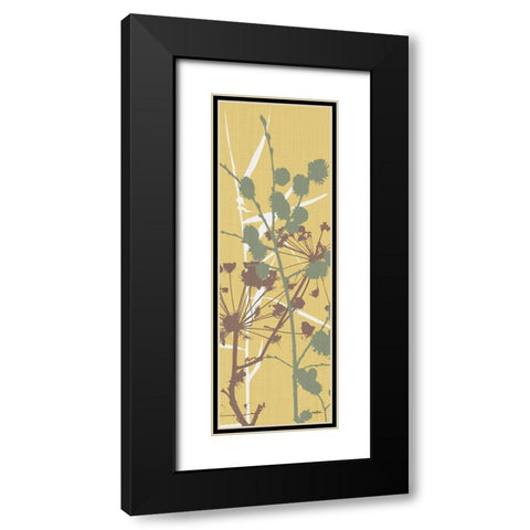Grasses 4 Black Modern Wood Framed Art Print with Double Matting by Stimson, Diane