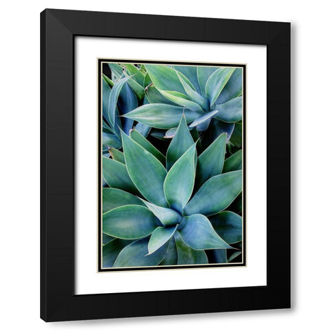 Deep Dive I Black Modern Wood Framed Art Print with Double Matting by Urquhart, Elizabeth