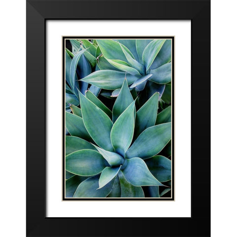 Deep Dive I Black Modern Wood Framed Art Print with Double Matting by Urquhart, Elizabeth