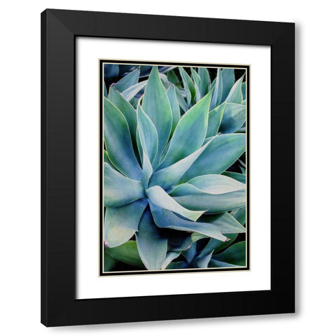 Deep Dive II Black Modern Wood Framed Art Print with Double Matting by Urquhart, Elizabeth