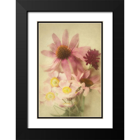 Late Summer Blooms 2 Black Modern Wood Framed Art Print with Double Matting by Urquhart, Elizabeth