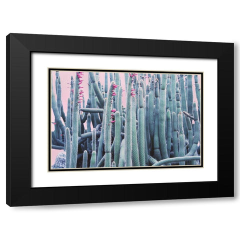 Pink Crush IV Black Modern Wood Framed Art Print with Double Matting by Urquhart, Elizabeth