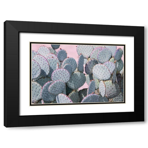 Pink Crush VIII Black Modern Wood Framed Art Print with Double Matting by Urquhart, Elizabeth