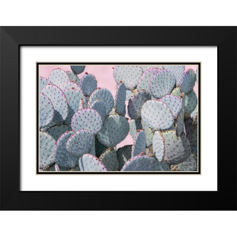 Pink Crush VIII Black Modern Wood Framed Art Print with Double Matting by Urquhart, Elizabeth
